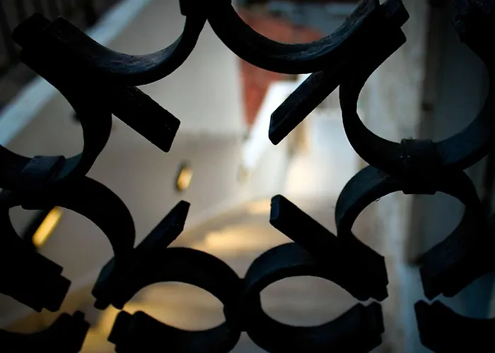 Tayra * דוברובניק